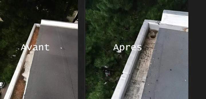 Nettoyage de toiture Nantes